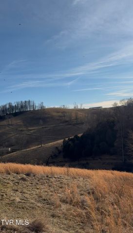 431 Strong Hollow Lane, Fort Blackmore, VA 24250