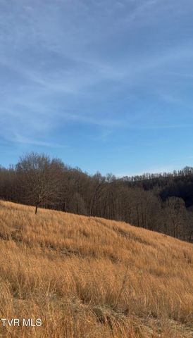 431 Strong Hollow Lane, Fort Blackmore, VA 24250