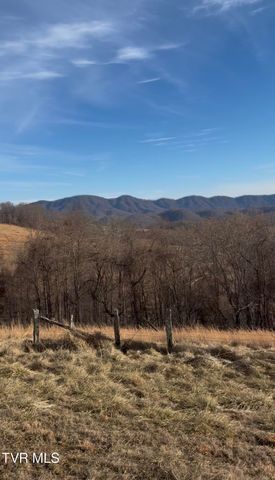 431 Strong Hollow Lane, Fort Blackmore, VA 24250