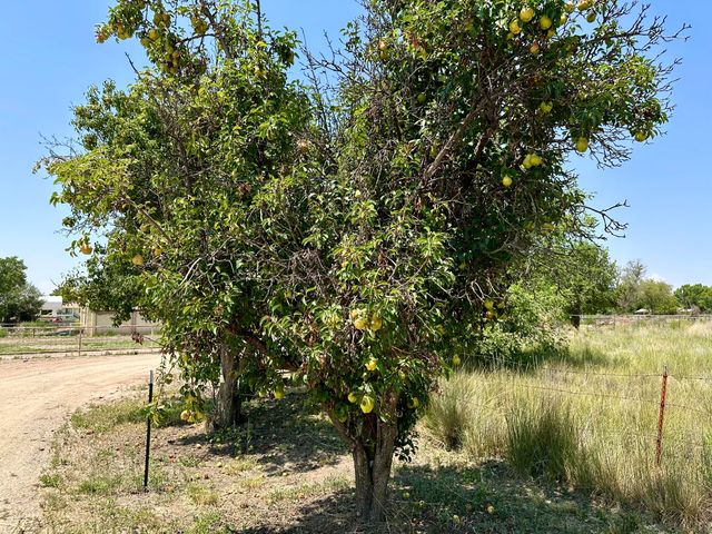 6 Adobe Lane, Peralta, NM 87042