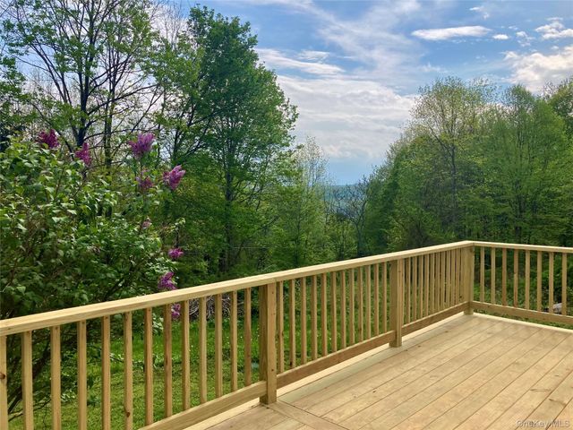 145 White Roe Lake Road, Livingston Manor, NY 12758