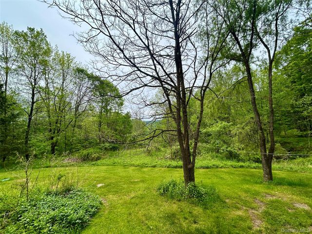 145 White Roe Lake Road, Livingston Manor, NY 12758