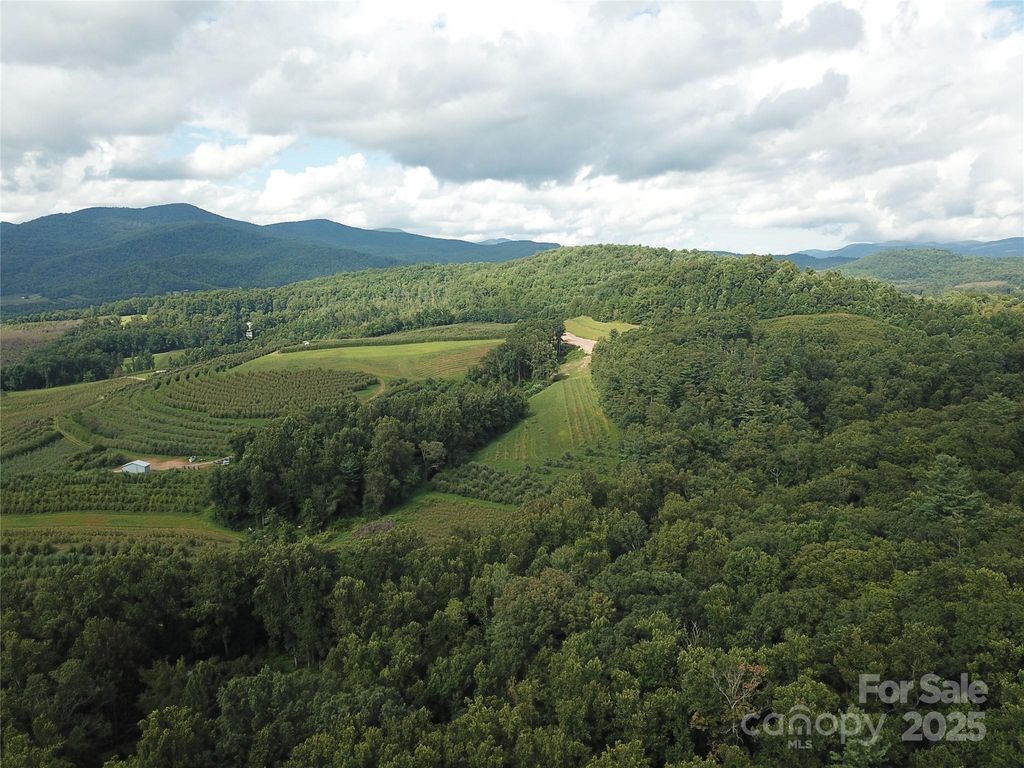 0 Pounding Mill None 5, Hendersonville, NC 28792