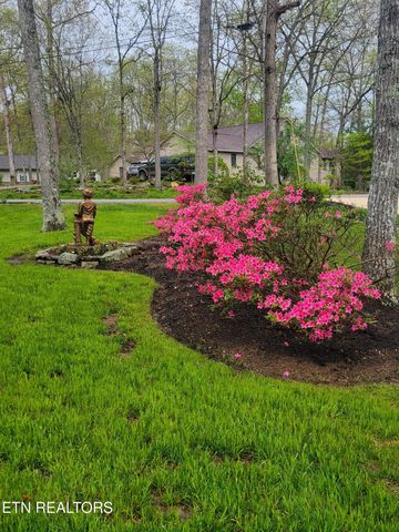 244 Lakeside Dr, Fairfield Glade, TN 38558