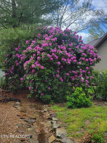 244 Lakeside Dr, Fairfield Glade, TN 38558