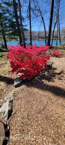 244 Lakeside Dr, Fairfield Glade, TN 38558