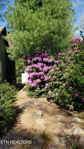 244 Lakeside Dr, Fairfield Glade, TN 38558