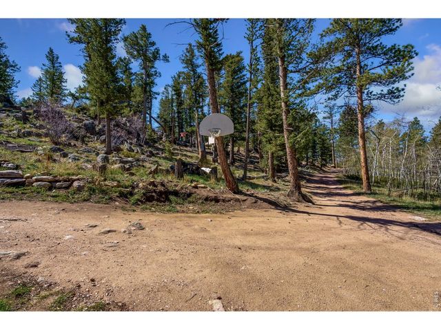 151 Columbine Dr, Red Feather Lakes, CO 80545