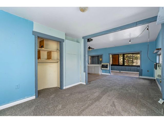 151 Columbine Dr, Red Feather Lakes, CO 80545