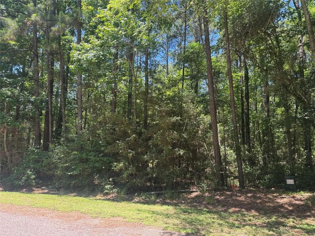 69 Sunny Hill Drive, Coldspring, TX 77331