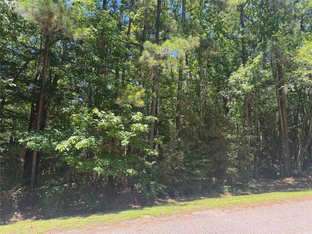 69 Sunny Hill Drive, Coldspring, TX 77331