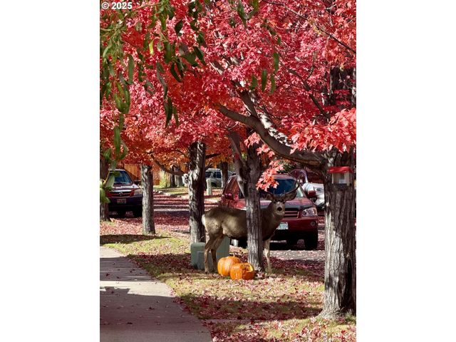 61142 BROOKHOLLOW Dr, Bend, OR 97702