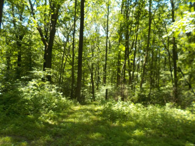 6133 S County Road 490 west Road, Paoli, IN 47454