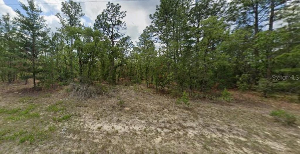 6657 N WATERMAN DRIVE, Dunnellon, FL 34433