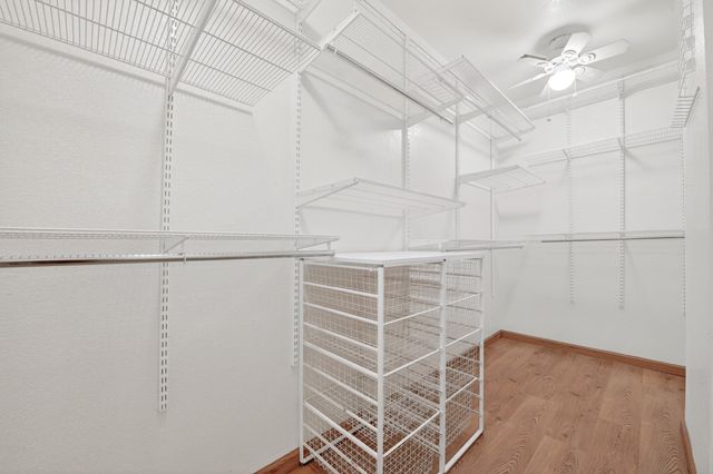 4012 La Paz Court, Plano, TX 75074