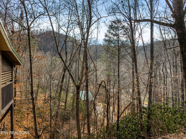 514 Laural Mountain Rd, Gatlinburg, TN 37738
