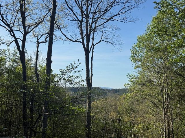 1600 My Mountain Road, Morganton, GA 30560