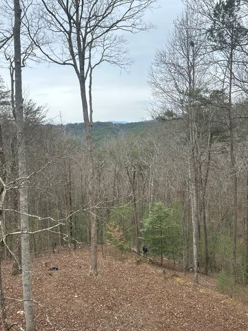 1600 My Mountain Road, Morganton, GA 30560