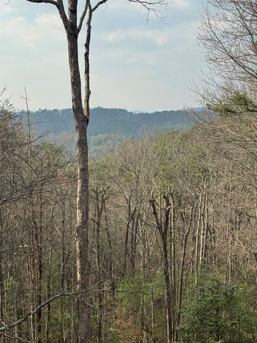 1600 My Mountain Road, Morganton, GA 30560