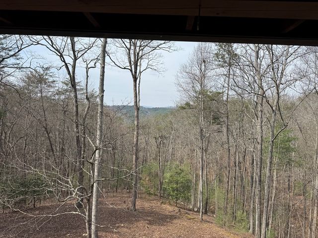 1600 My Mountain Road, Morganton, GA 30560