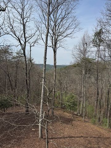 1600 My Mountain Road, Morganton, GA 30560