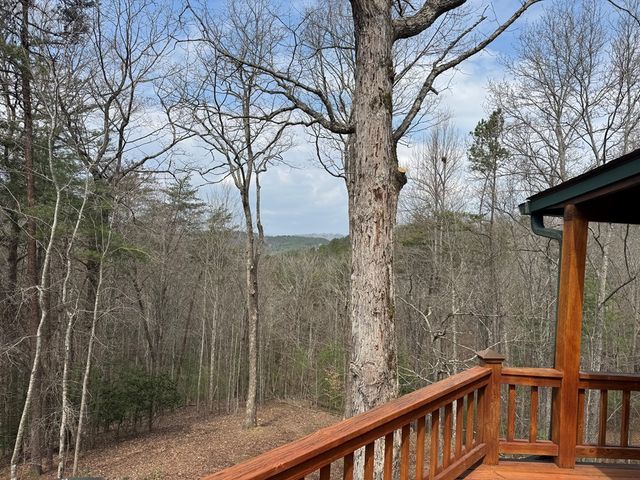 1600 My Mountain Road, Morganton, GA 30560