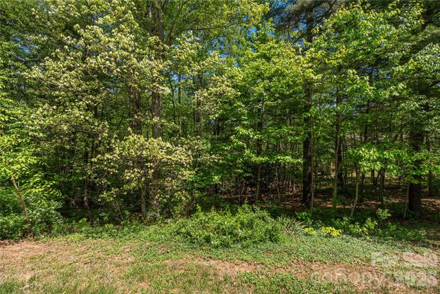 305 Freedom Trail Court, Zirconia, NC 28790
