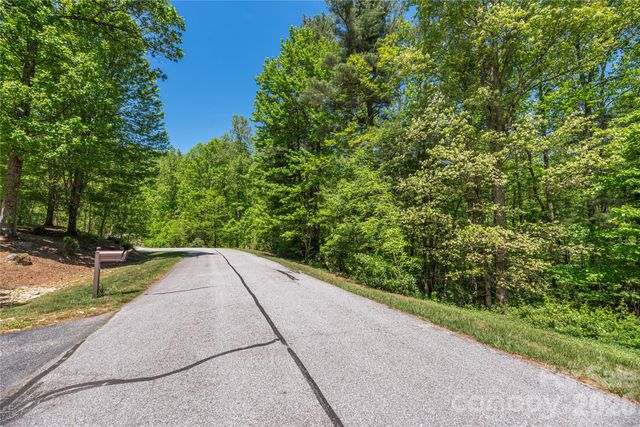 305 Freedom Trail Court, Zirconia, NC 28790