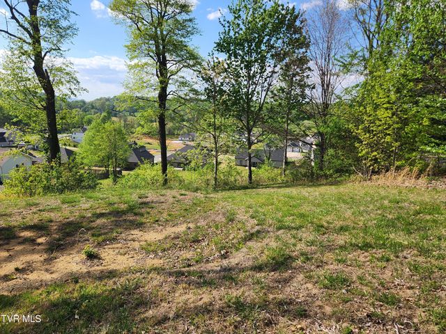 1253 Skyline Drive, Jonesborough, TN 37659