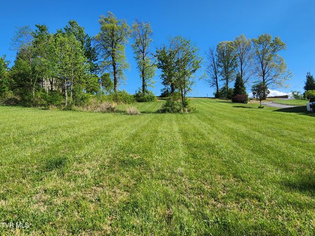 1253 Skyline Drive, Jonesborough, TN 37659