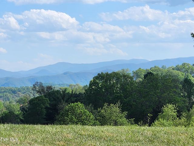 1253 Skyline Drive, Jonesborough, TN 37659