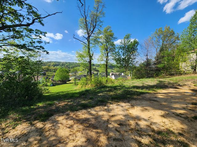 1253 Skyline Drive, Jonesborough, TN 37659