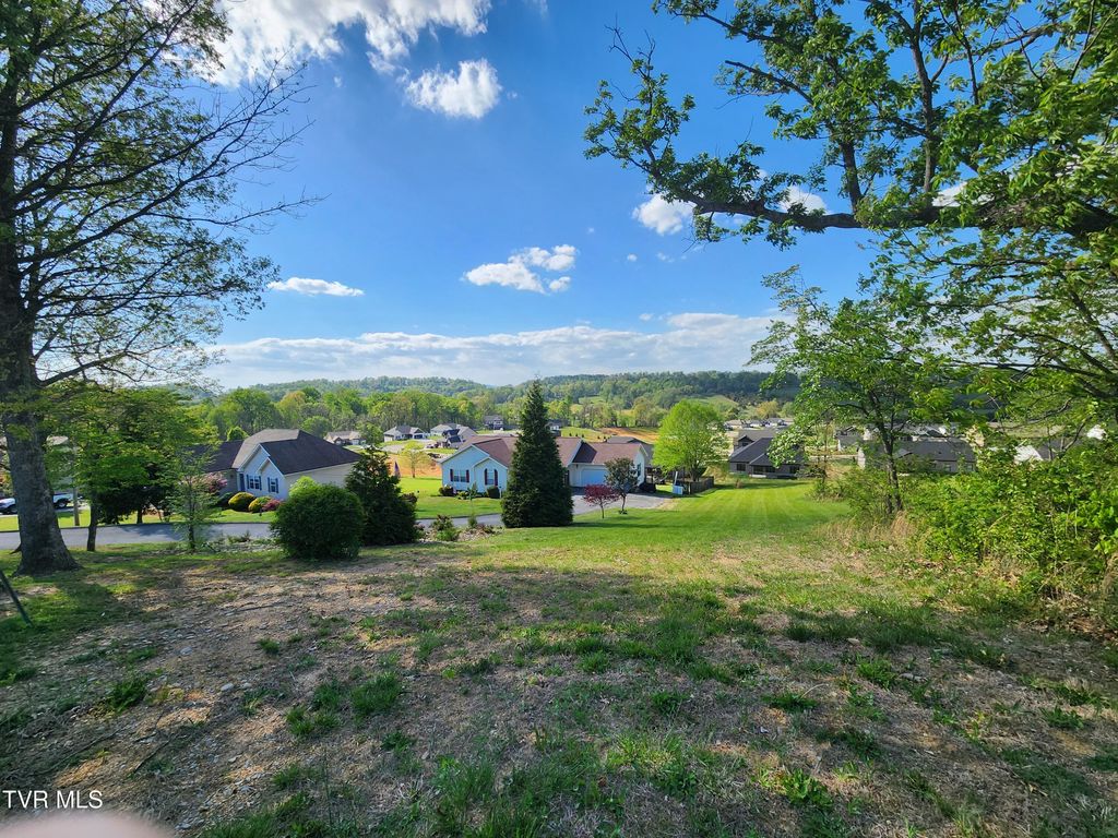 1253 Skyline Drive, Jonesborough, TN 37659