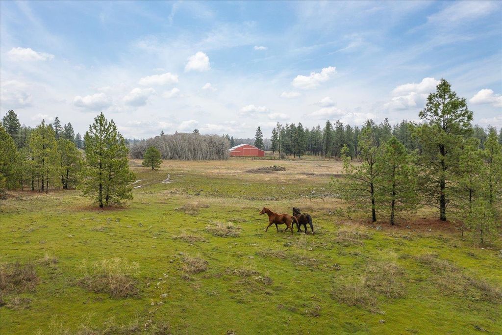 102 E Cameron Rd, Spangle, WA 99031 photo 2