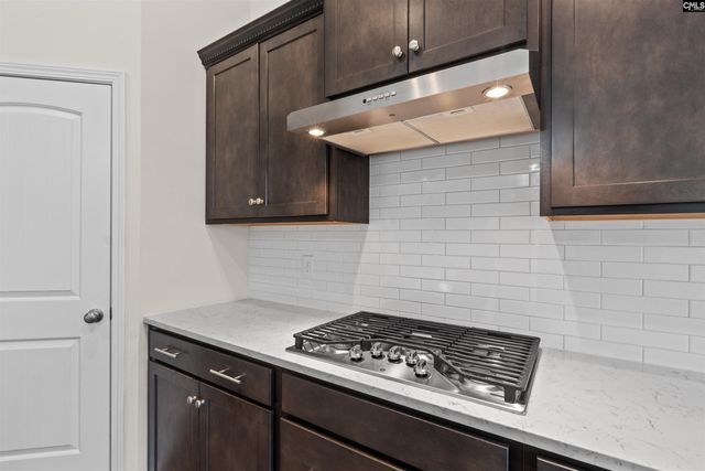 509 Malachite Lane, Chapin, SC 29036