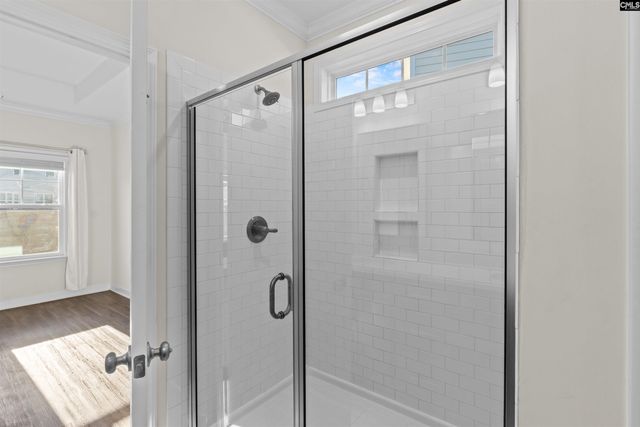 509 Malachite Lane, Chapin, SC 29036