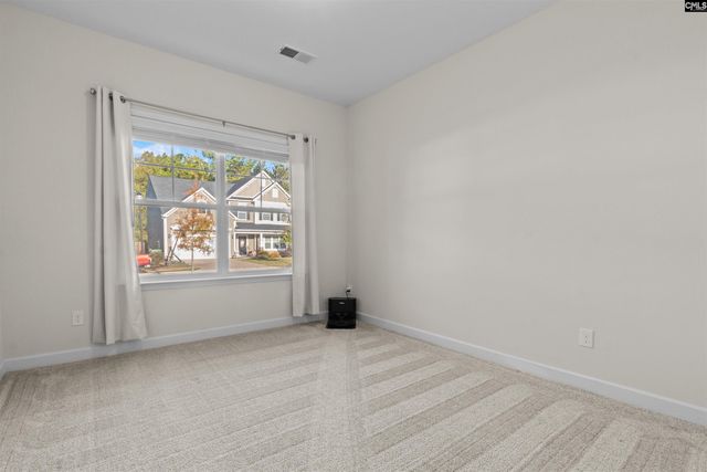 509 Malachite Lane, Chapin, SC 29036