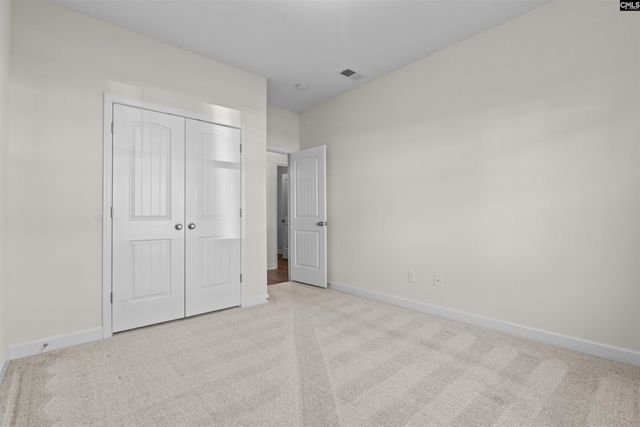 509 Malachite Lane, Chapin, SC 29036