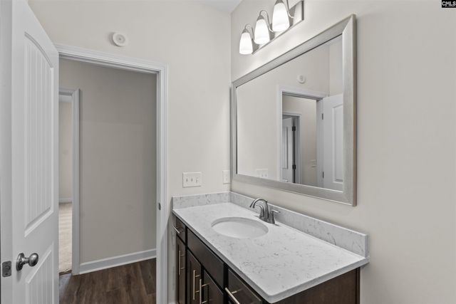 509 Malachite Lane, Chapin, SC 29036