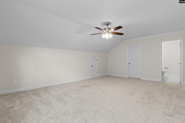 509 Malachite Lane, Chapin, SC 29036