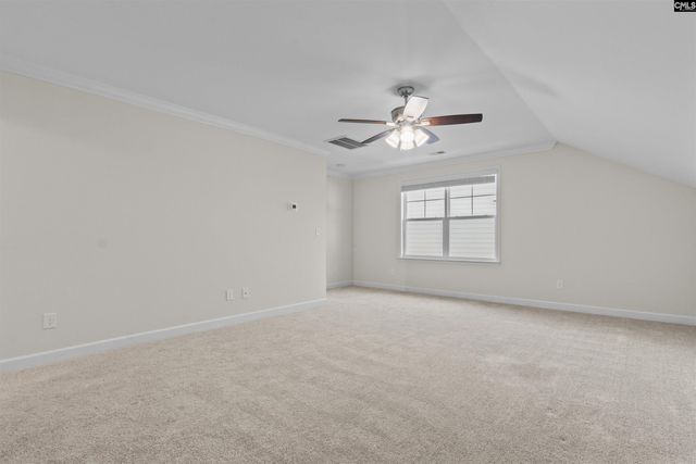 509 Malachite Lane, Chapin, SC 29036