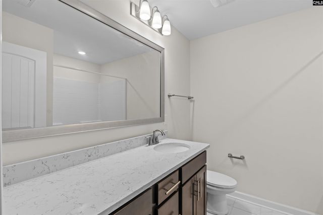 509 Malachite Lane, Chapin, SC 29036