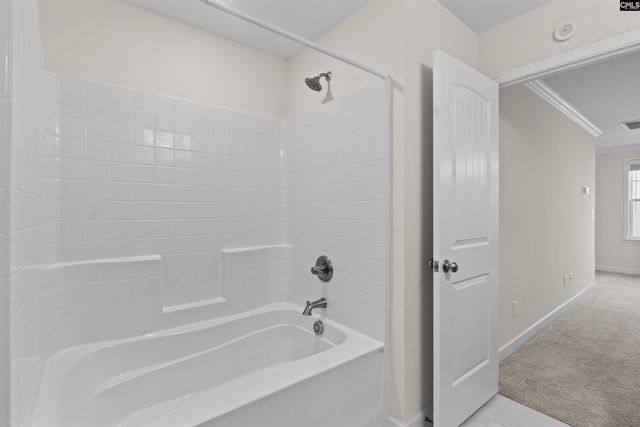 509 Malachite Lane, Chapin, SC 29036