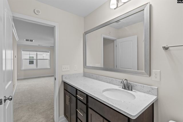 509 Malachite Lane, Chapin, SC 29036