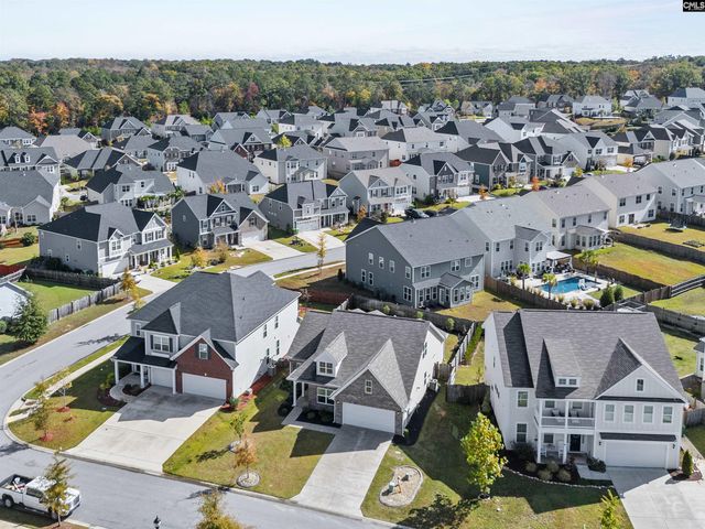 509 Malachite Lane, Chapin, SC 29036