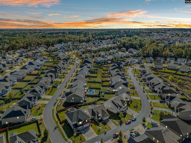 509 Malachite Lane, Chapin, SC 29036