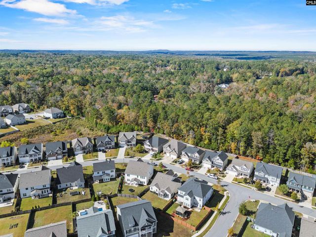 509 Malachite Lane, Chapin, SC 29036