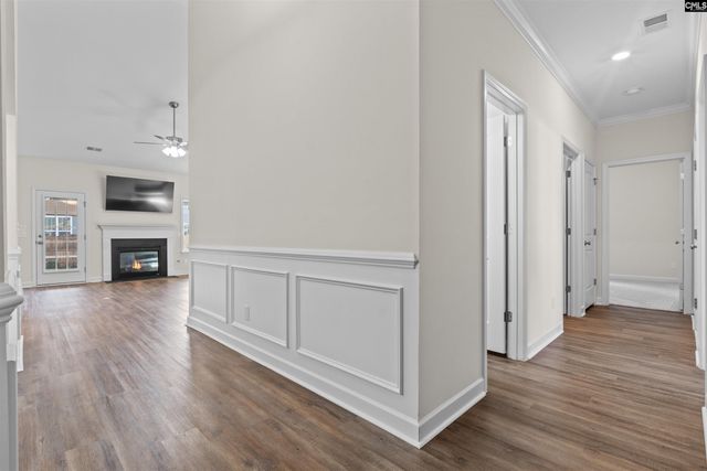 509 Malachite Lane, Chapin, SC 29036