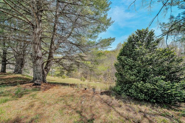 19660 FRANKLIN ST, Ferrum, VA 24088