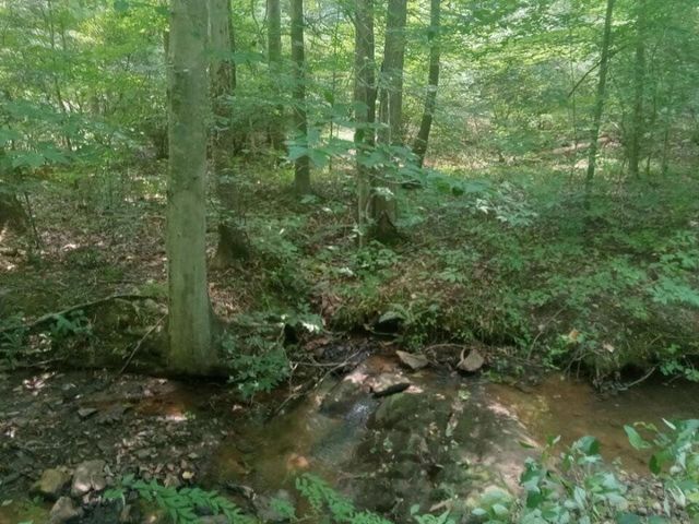 19660 FRANKLIN ST, Ferrum, VA 24088